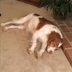 Meet your Posher, Robert